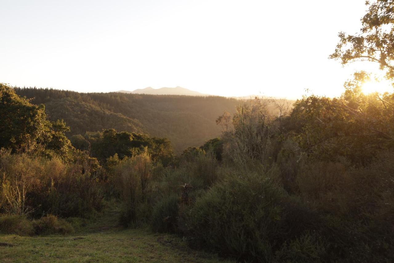 Forest Hills Knysna Exteriör bild