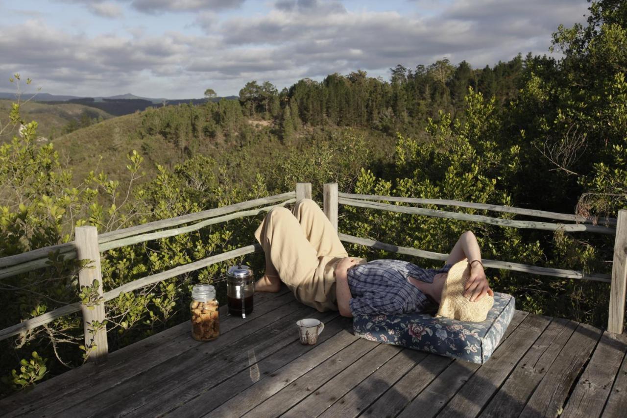 Forest Hills Knysna Exteriör bild