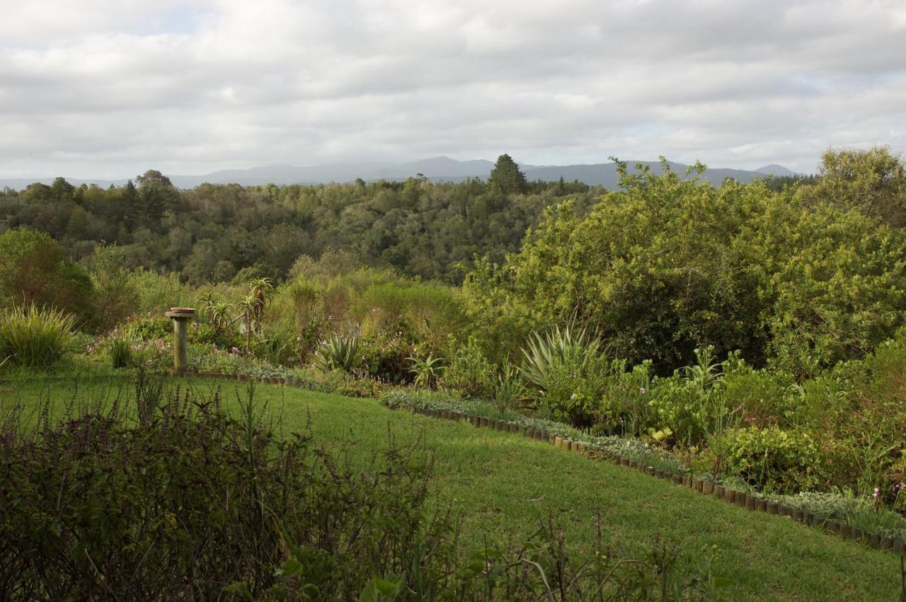 Forest Hills Knysna Exteriör bild