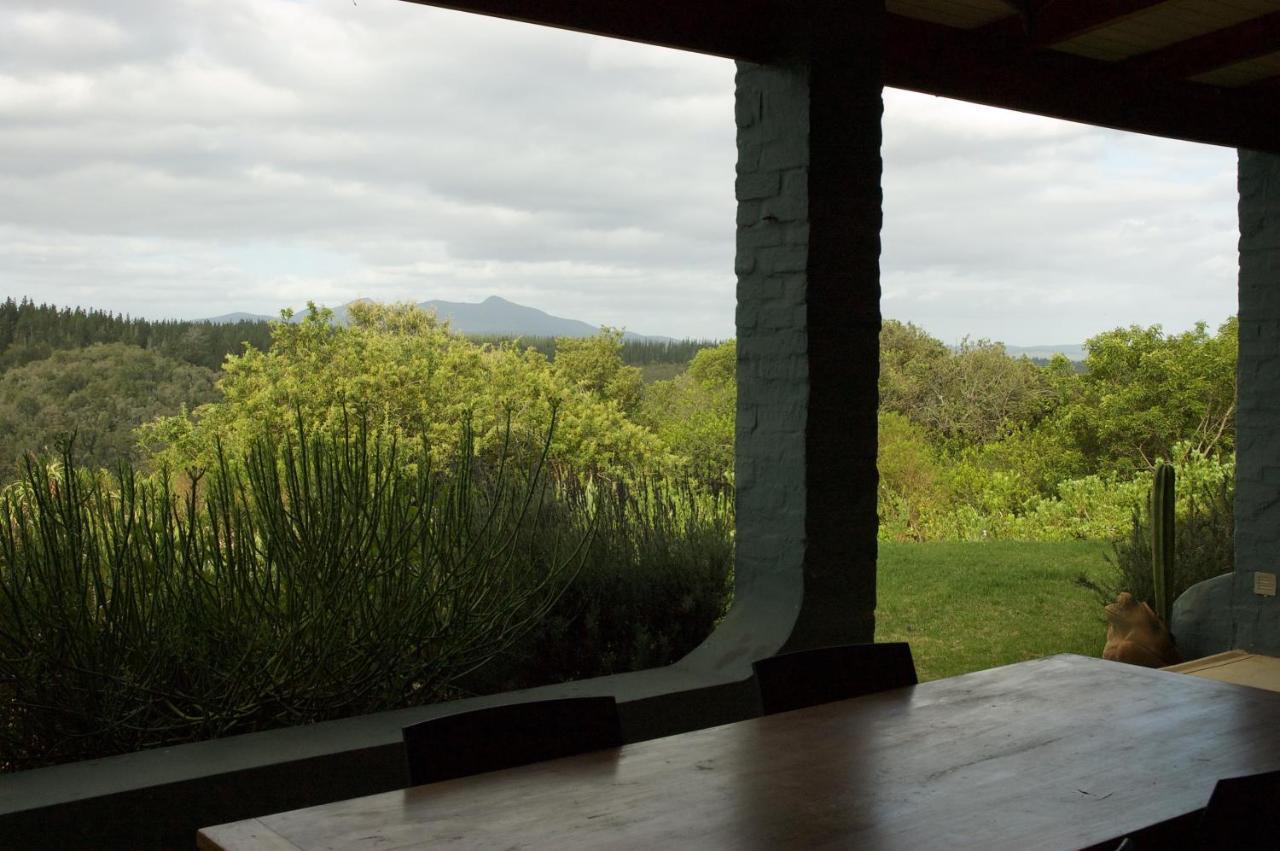 Forest Hills Knysna Exteriör bild
